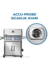 Napoleon Rogue Pro S 525 RSIB Gazlı Mangal