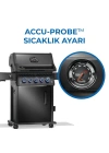 Phantom Rogue Pro S 425 RSIB Gazlı Mangal