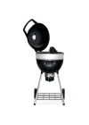 Professional 18 Kömürlü Mangal