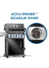 Rogue Pro S 425 RSIB Gazlı Mangal Siyah
