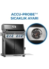 Rogue Pro S 525 RSIB Gazlı Mangal Siyah