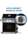 Rogue Pro S 625 RSIB Gazlı Mangal Siyah