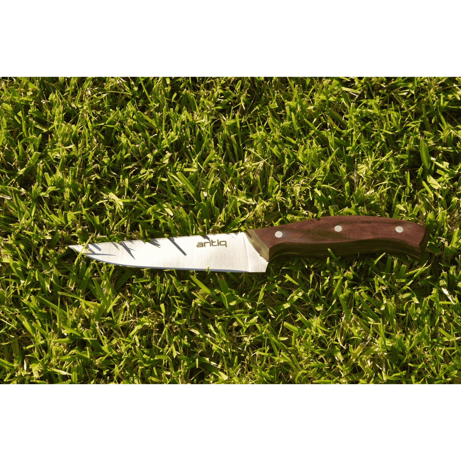 Antiq Ares Serisi Şef Bıçağı - Ceviz Sap 15 cm