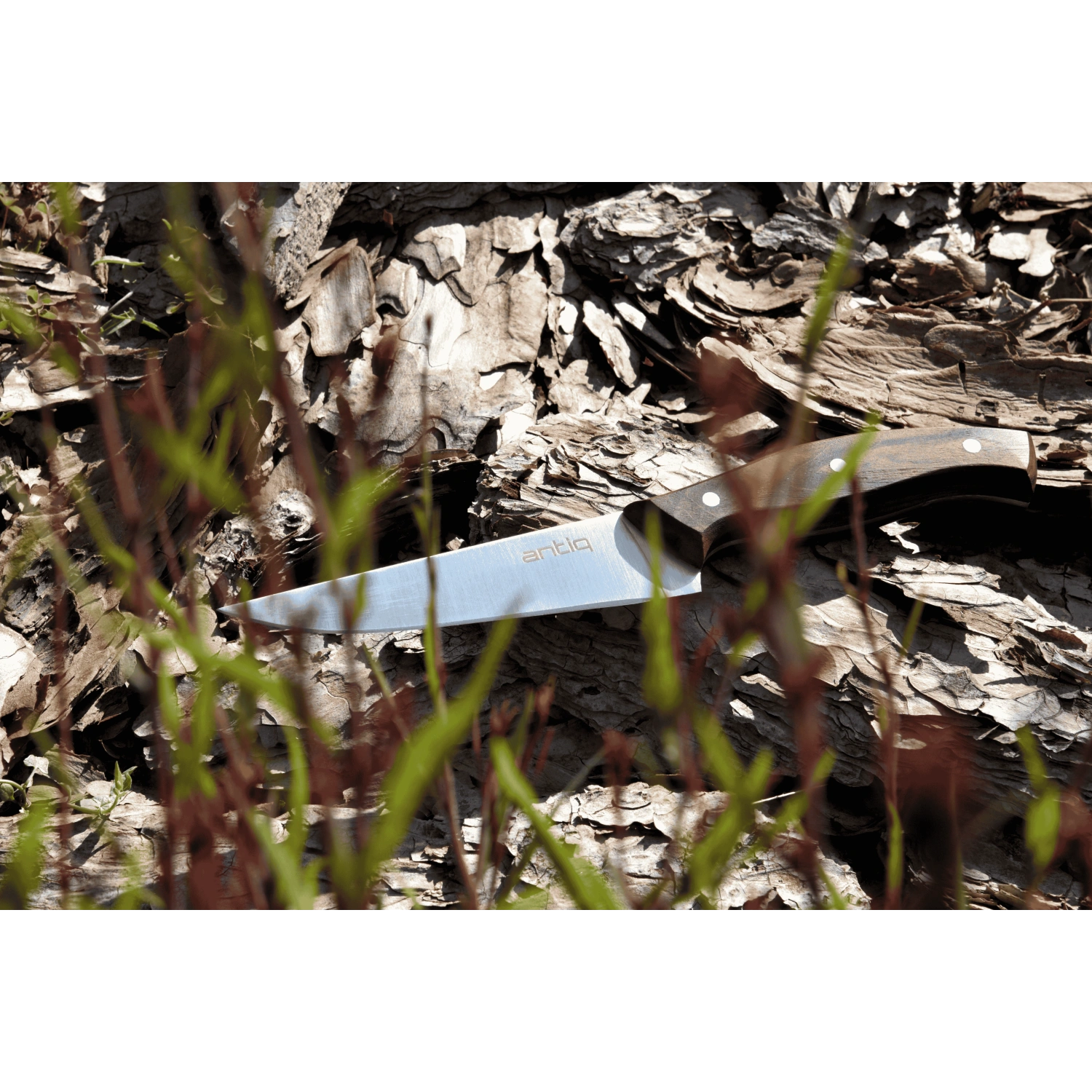 Antiq Ares Serisi Şef Bıçağı - Ceviz Sap 15 cm