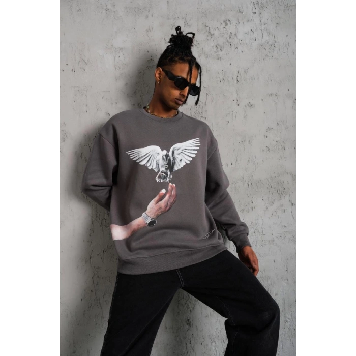 Erkek Güvercin Baskılı Sweatshirt - Gri