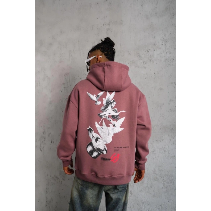 Erkek Şapkalı Güvercin Baskılı Kapşonlu Sweat - Gül Kurusu