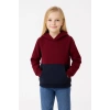 Kız Çocuk Kapüşonlu Kanguru Çepli Parçalı SweatShirt - Renkli