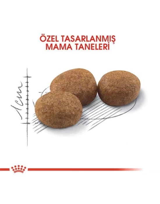 Royal Canin Sterilised Yetişkin Kısırlaştırılmış Kedi Maması 2 Kg