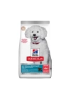Hills Hypoallergenic Small Mini Somonlu Küçük Irk Yetişkin Köpek Maması 1,5 Kg
