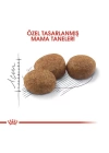 Royal Canin Sterilised Yetişkin Kısırlaştırılmış Kedi Maması 2 Kg