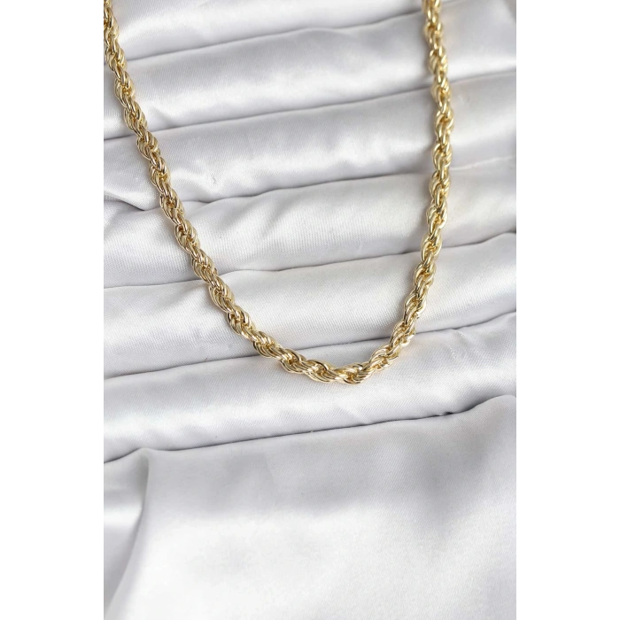 14K Gold Renk Kaplama Burgu Model CM Kadın Kolye