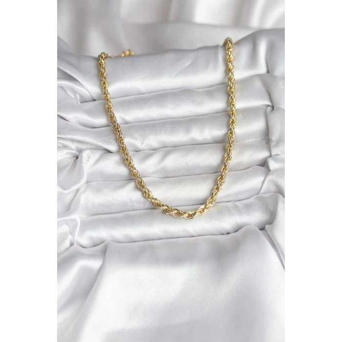 14K Gold Renk Kaplama Burgu Model CM Kadın Kolye