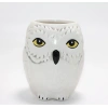 Harry Potter Hedwig Tasarım Porselen Kupa Bardak Alk4494
