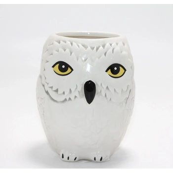 Harry Potter Hedwig Tasarım Porselen Kupa Bardak Alk4494