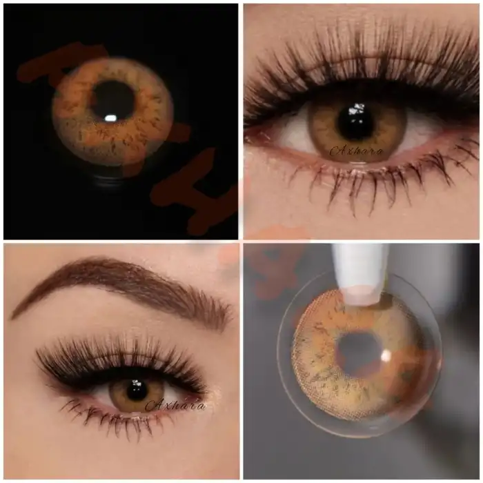 Retina Brown / Hareli Ve Damarlı Ela Renkli Lens / Miyop ( - ) Numaralı