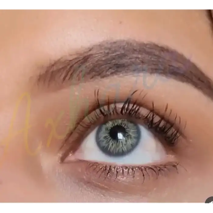 Zenith Gray / Hareli Gri Renkli Lens / Miyop ( - ) Numaralı