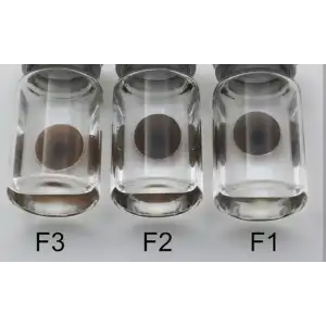 Prostetik Lens / Prosthetic Lens / Yıllık
