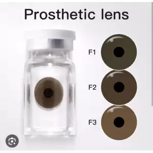 Kişiye Özel Üretim Prostetik Lens Yıllık / prosthetic lens