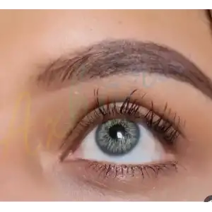 Zenith Gray / Hareli Gri Renkli Lens / Miyop ( - ) Numaralı