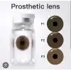 Prostetik Lens / Prosthetic Lens / Yıllık