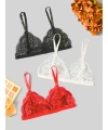 Fantezi 3lü Seksi Dantel Sütyen Seti