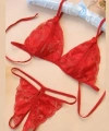 Fantezi Kırmızı Dantelli Seksi Sütyen Kilot Takım