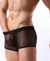 Fantezi Transparan Tül Erkek Boxer Fantezi Tanga