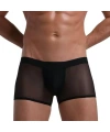 Fantezi Transparan Tül Erkek Boxer Fantezi Tanga