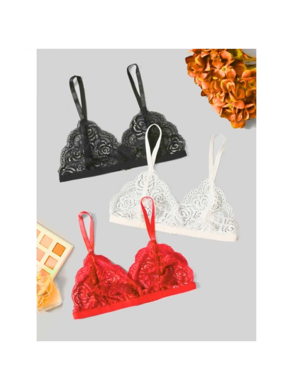 Fantezi 3lü Seksi Dantel Sütyen Seti