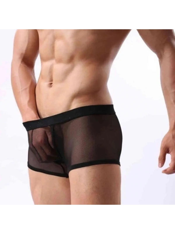 Fantezi Transparan Tül Erkek Boxer Fantezi Tanga