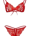 Kırmızı Dantelli Fantazi Sütyen Ve G-string Takım Tm2048