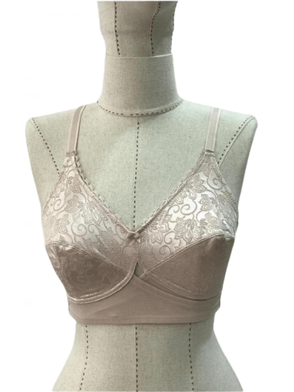 Vizon Mı Emay 130 C Toparlayıcı Sütyen