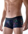Boxer Briefs