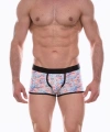 Erkek Desenli Boxer