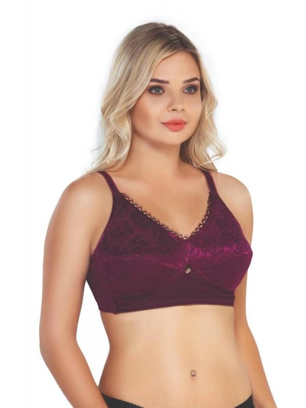 Bordo Mı Emay 130 C Toparlayıcı Sütyen