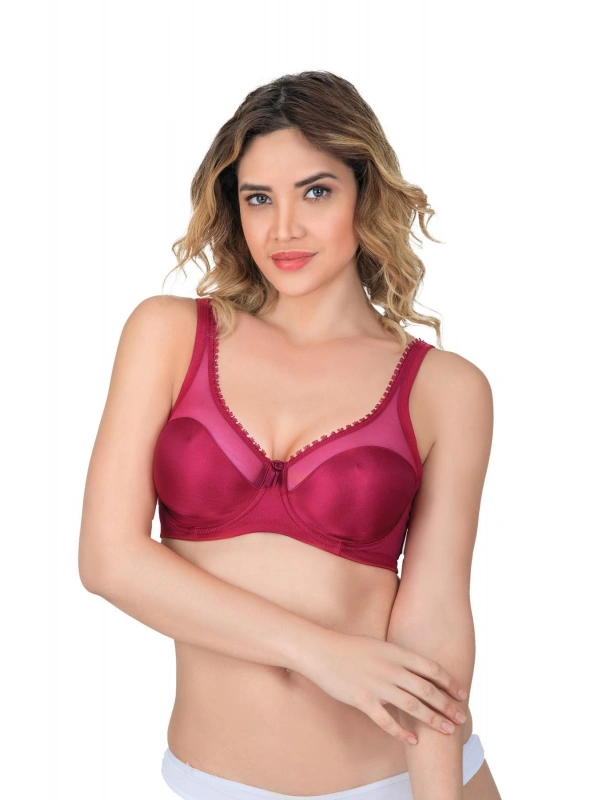 Bordo Mı Emay 169 C Basic Balenli Toparlayıcı Sütyen