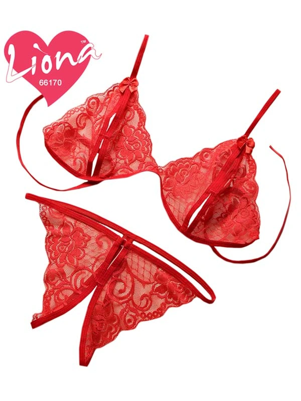 Dantelli Büyük Beden Sütyen Takımı
