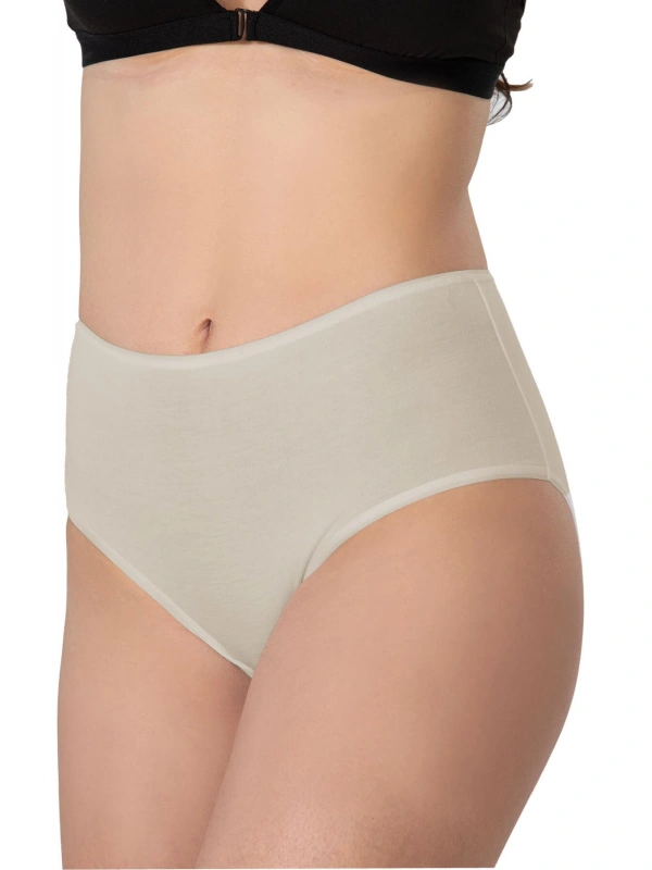 Ten Mı Emay 1442 Modal Coton Yüksekbel Külot