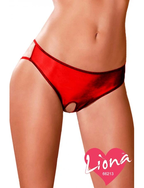 Ağı Açık Fantazi İç Giyim