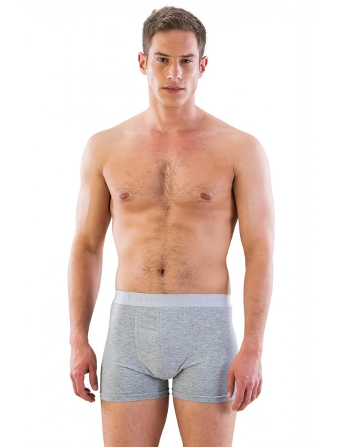 Gri Mı Emay 6700 Erkek Boxer