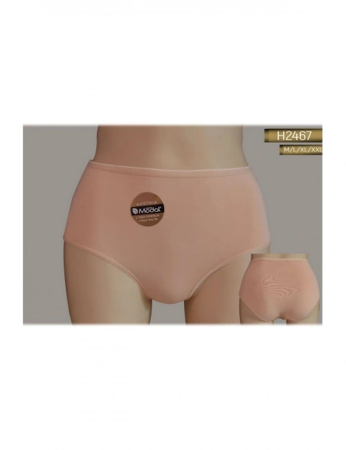 Yüksek Bel Modal Slıp Külot Kadın 2467