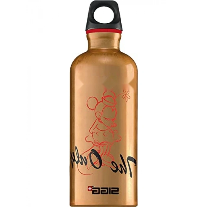 0.6 L Kapasiteye Sahip Bronz Su Geçirmez Matara