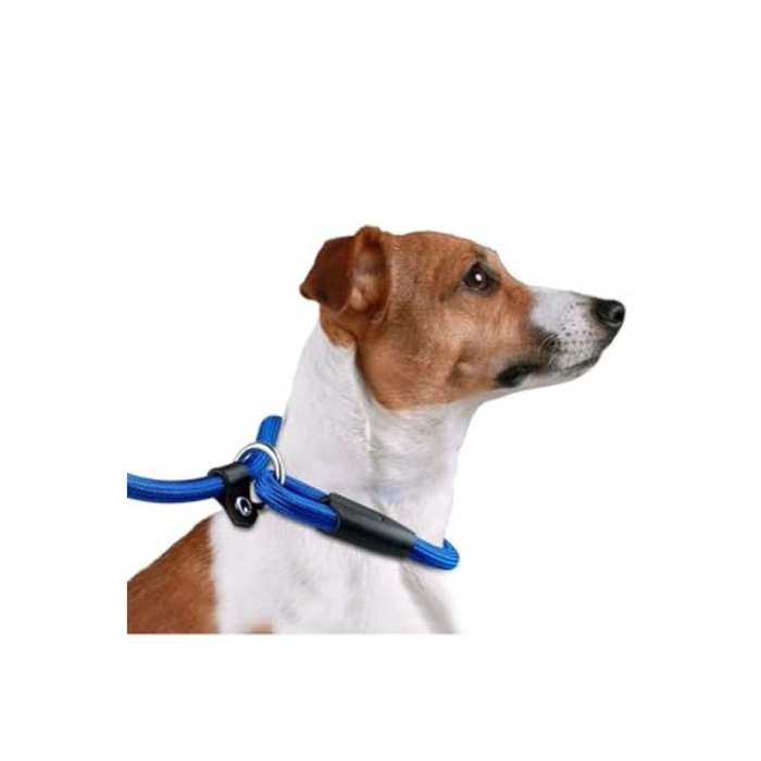 1 cm Orta Irk Siyah Köpek Eğitim Tasması, Dayanıklı