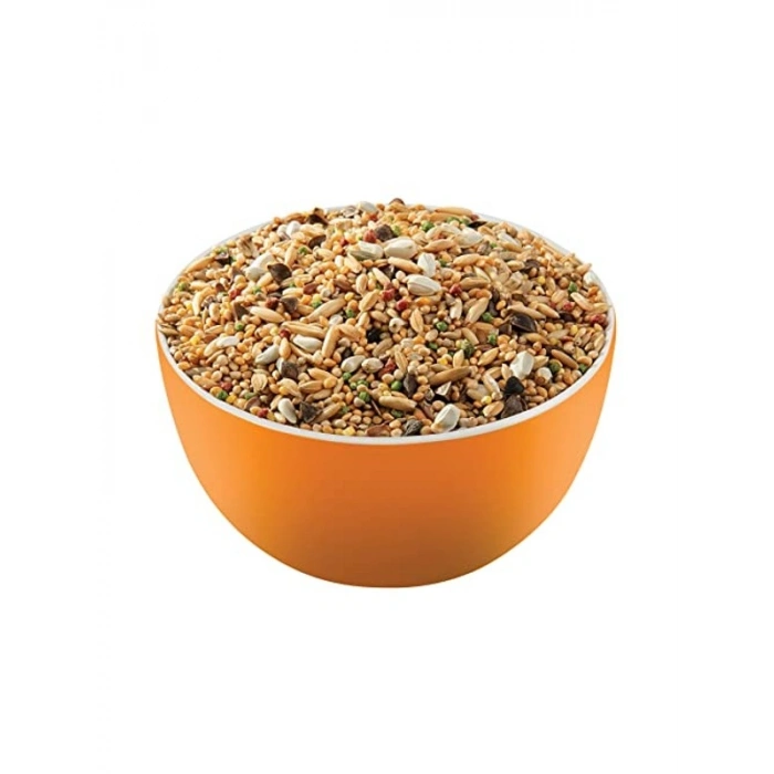 1 Kg Afrika Paraket Yemi - Versela Laga Loro Parque