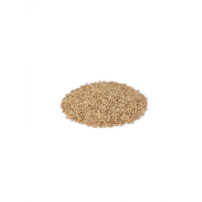 1 kg Vivid Aspur Sade Kanarya Yemi ile Enerjik Beslenme