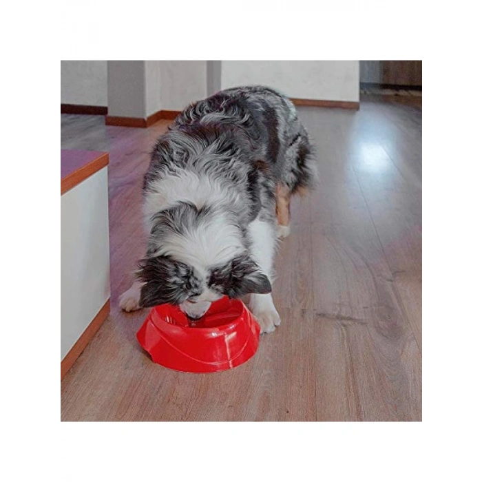 1 Litre Kapasiteli Otomatik Mama ve Su Kabı