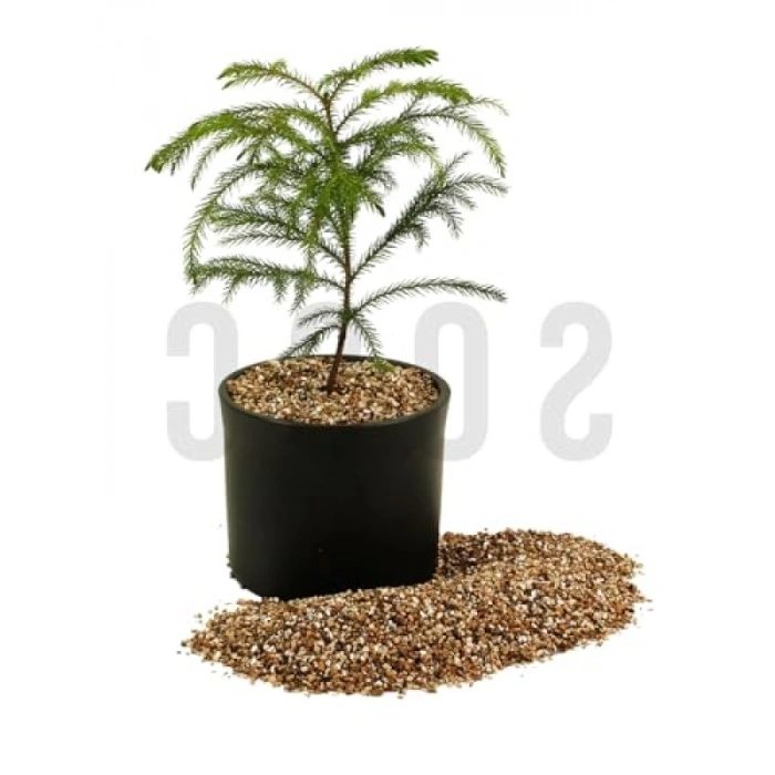 1 Litre Vermikülit - Bitki Yetiştirme için Ideal