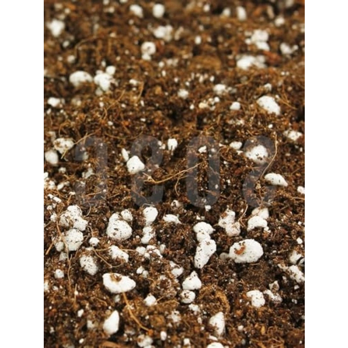 1 LT Özel Karışım Saksı Harcı, Sphangum Torfu ve Cocopeat İçerir