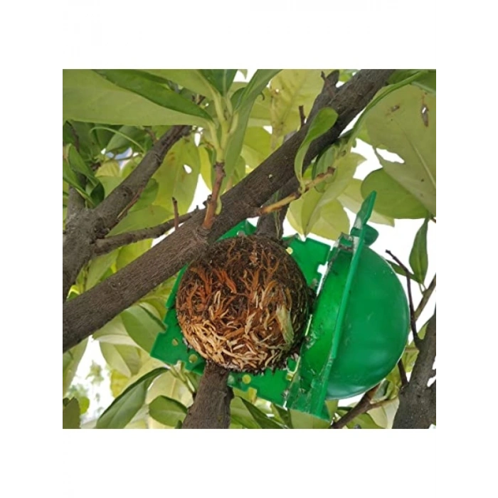 10 Adet Bitki Köklendirme Topu ve 20 Adet Klips