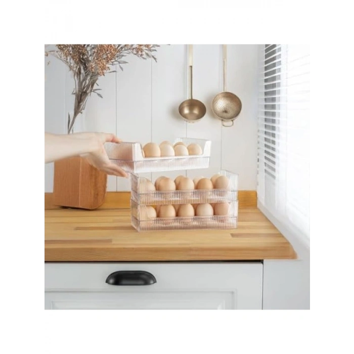 10 Adet Yumurta Saklama Kutusu, Şeffaf, BPA İçermeyen